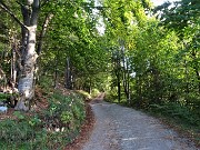 Anello autunnale Baciamorti – Aralalta – Sodadura da Capo Foppa il 30 settembre 2020 - FOTOGALLERY